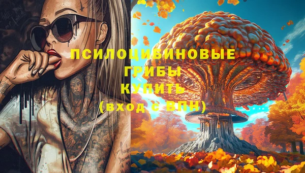 гидропоника Абинск