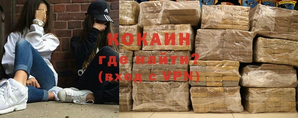 хмурый Абаза