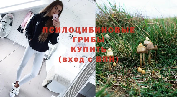 хмурый Абаза