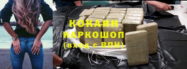 хмурый Абаза