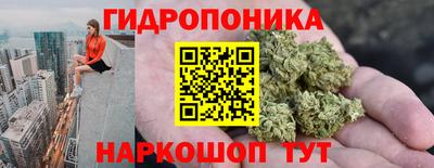 2c-b Пугачёв